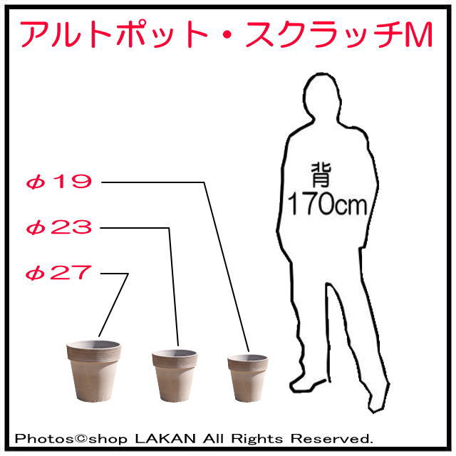 陶器 人気鉢 グリーンポット 人気 