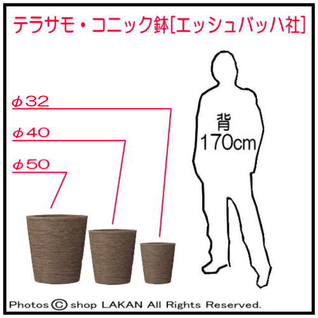 エッシュバッハ社 素焼き 大型テラコッタ鉢 