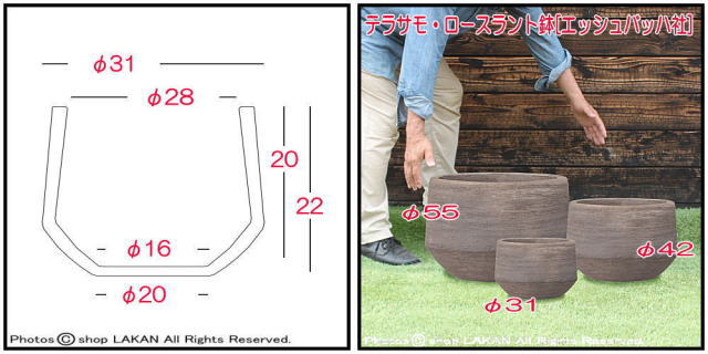 ロースラント 31 素焼きテラコッタ鉢 テラサモ 
