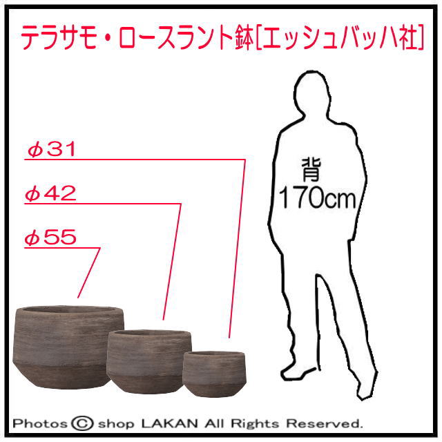 エッシュバッハ社 テラサモ 大型テラコッタ鉢 