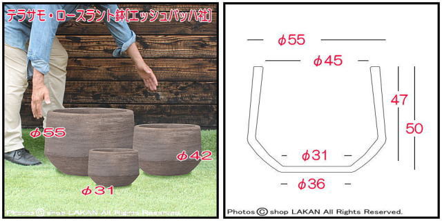 輸入鉢 グリーンポット 大型テラコッタ鉢 