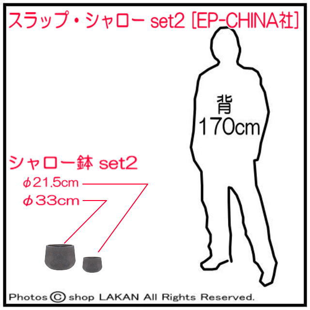 普遍 人気柄 2ヶ組 通気性 