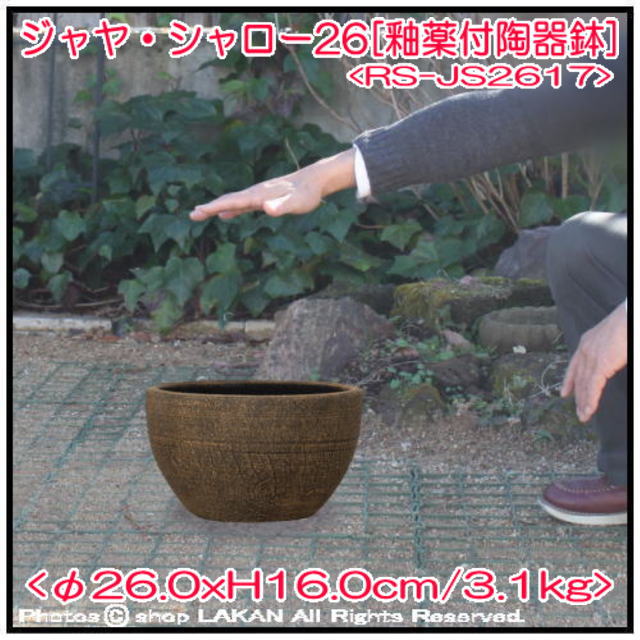 釉薬付陶器鉢 シャロー26 輸入植木鉢 